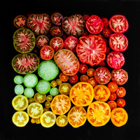 tomato season (sliced)