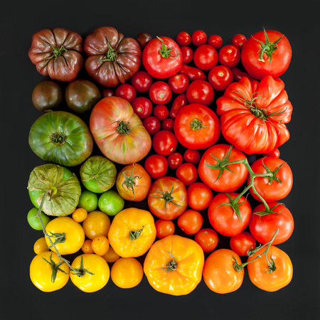 tomato season (whole)