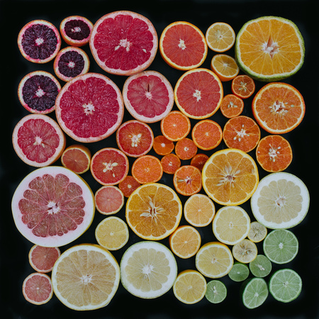 citrus fest